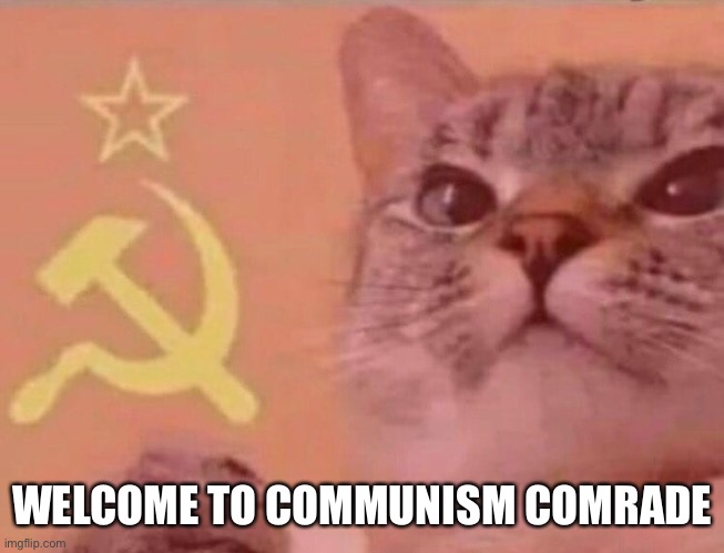Communist cat | WELCOME TO COMMUNISM COMRADE | image tagged in communist cat | made w/ Imgflip meme maker