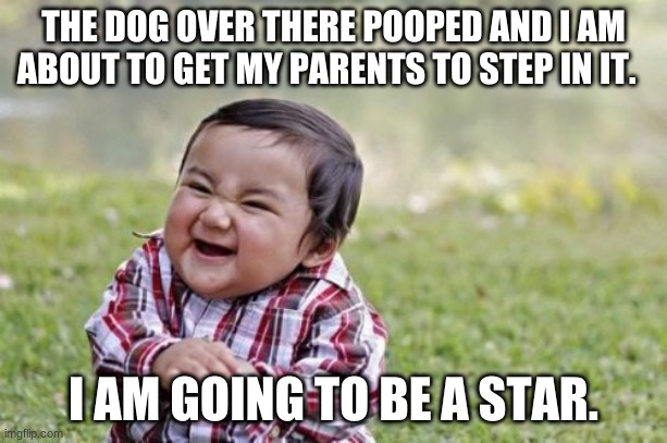 I think it is about right | THE DOG OVER THERE POOPED AND I AM ABOUT TO GET MY PARENTS TO STEP IN IT. I AM GOING TO BE A STAR. | image tagged in memes,evil toddler | made w/ Imgflip meme maker