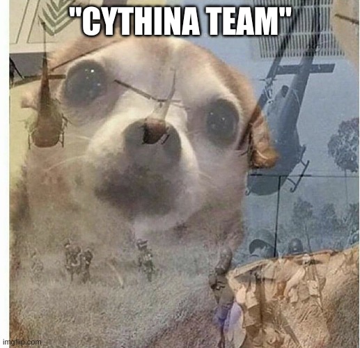PTSD Chihuahua | "CYTHINA TEAM" | image tagged in ptsd chihuahua | made w/ Imgflip meme maker