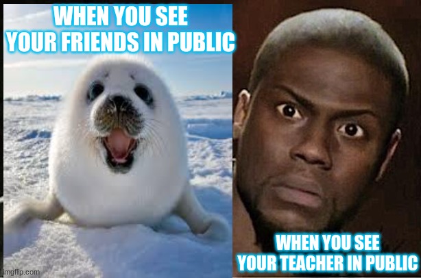 Types of faces | WHEN YOU SEE YOUR FRIENDS IN PUBLIC; WHEN YOU SEE YOUR TEACHER IN PUBLIC | image tagged in kids | made w/ Imgflip meme maker