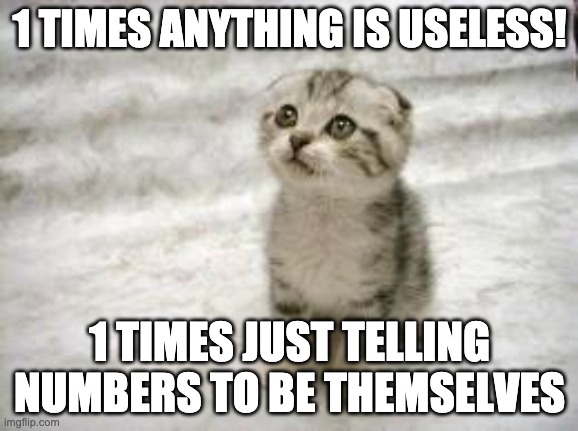 1 times anything | 1 TIMES ANYTHING IS USELESS! 1 TIMES JUST TELLING NUMBERS TO BE THEMSELVES | image tagged in memes,sad cat | made w/ Imgflip meme maker