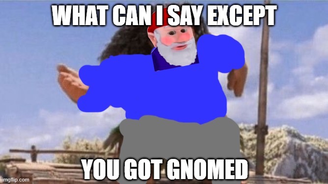 What Can I Say Except X? | WHAT CAN I SAY EXCEPT; YOU GOT GNOMED | image tagged in what can i say except x | made w/ Imgflip meme maker