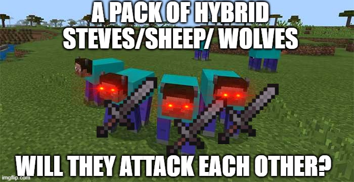 me and the boys | A PACK OF HYBRID STEVES/SHEEP/ WOLVES; WILL THEY ATTACK EACH OTHER? | image tagged in me and the boys | made w/ Imgflip meme maker