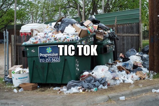 garbage  | TIC TOK | image tagged in garbage | made w/ Imgflip meme maker