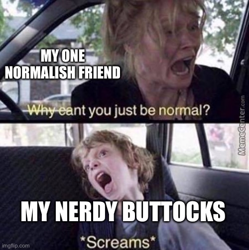 Tbh my friends aren't that normal | MY ONE NORMALISH FRIEND; MY NERDY BUTTOCKS | image tagged in why can't you just be normal | made w/ Imgflip meme maker