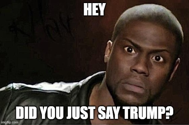 hey! | HEY; DID YOU JUST SAY TRUMP? | image tagged in memes,kevin hart | made w/ Imgflip meme maker