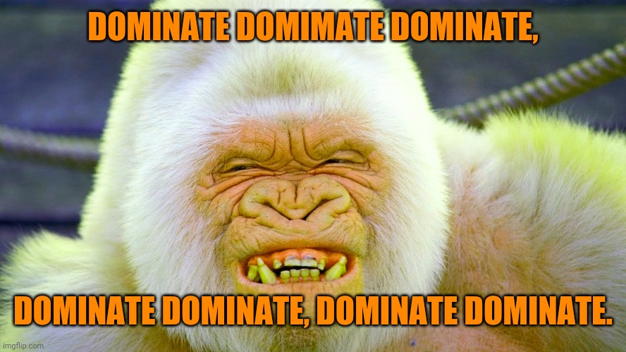 donald trump | DOMINATE DOMIMATE DOMINATE, DOMINATE DOMINATE, DOMINATE DOMINATE. | image tagged in donald trump | made w/ Imgflip meme maker