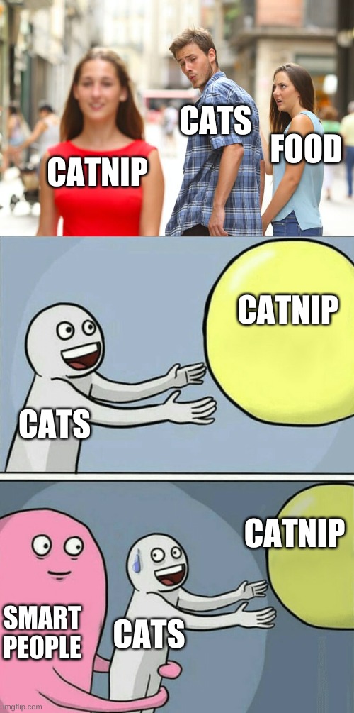 Cats+Catnip | CATS; FOOD; CATNIP; CATNIP; CATS; CATNIP; CATS; SMART PEOPLE | image tagged in memes,distracted boyfriend,running away balloon,cats,catnip | made w/ Imgflip meme maker