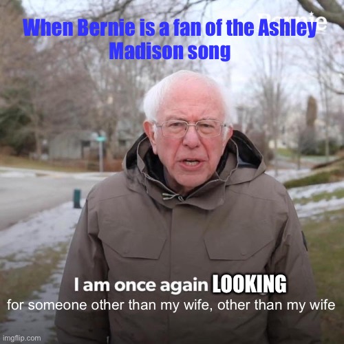 That tune is so catchy, let’s just put it in the steel panther folder lol | When Bernie is a fan of the Ashley
Madison song; LOOKING; for someone other than my wife, other than my wife | image tagged in memes,bernie i am once again asking for your support | made w/ Imgflip meme maker
