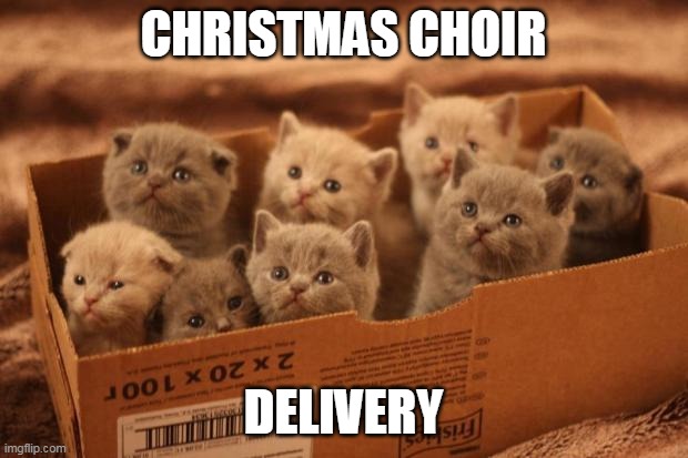 Christmas Choir | CHRISTMAS CHOIR; DELIVERY | image tagged in box o kittens,memes,christmas memes | made w/ Imgflip meme maker