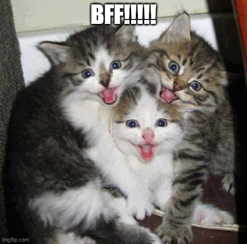 Friends | BFF!!!!! | image tagged in happy kittens,memes,happy,friends | made w/ Imgflip meme maker
