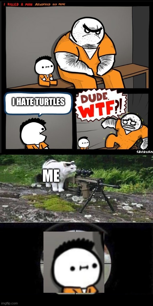i know wut i must do | I HATE TURTLES; ME | image tagged in srgrafo dude wtf,cats | made w/ Imgflip meme maker