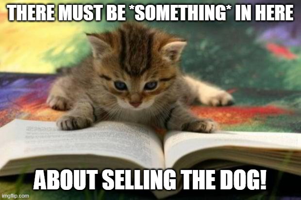 Sales | THERE MUST BE *SOMETHING* IN HERE; ABOUT SELLING THE DOG! | image tagged in kitten reading,kitten,dog,memes,meme | made w/ Imgflip meme maker
