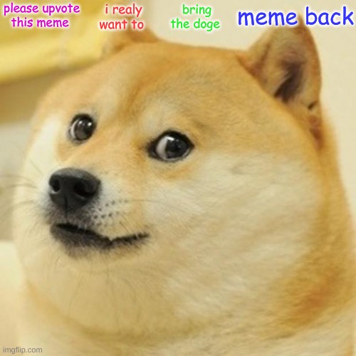 Doge Meme | please upvote this meme; i realy want to; bring the doge; meme back | image tagged in memes,doge | made w/ Imgflip meme maker