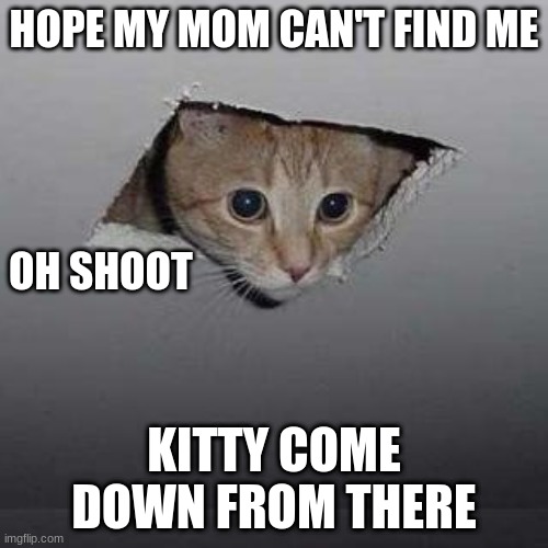 Ceiling Cat | HOPE MY MOM CAN'T FIND ME; OH SHOOT; KITTY COME DOWN FROM THERE | image tagged in memes,ceiling cat | made w/ Imgflip meme maker