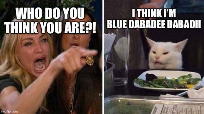 Does anyone know that song? :\ | WHO DO YOU THINK YOU ARE?! I THINK I’M BLUE DABADEE DABADII | image tagged in angry lady cat | made w/ Imgflip meme maker