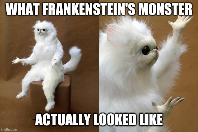 a little halloween thing | WHAT FRANKENSTEIN'S MONSTER; ACTUALLY LOOKED LIKE | image tagged in memes,halloween,cats | made w/ Imgflip meme maker