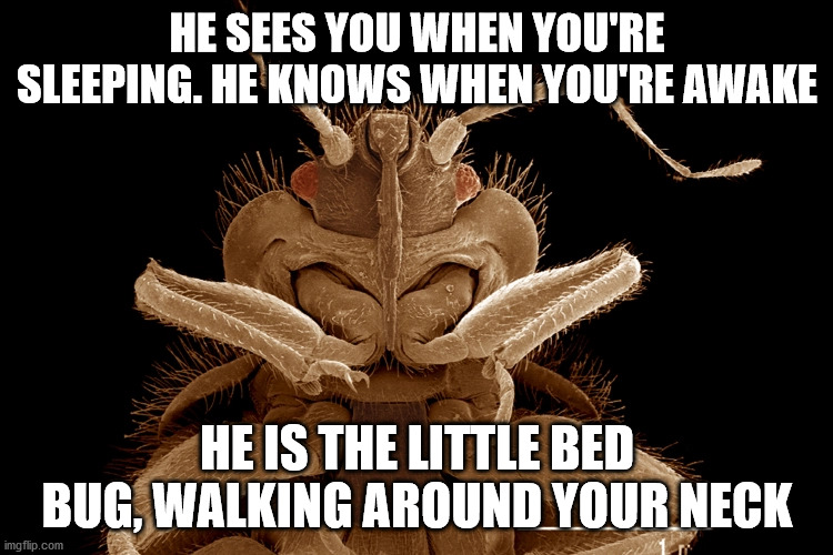 no title | HE SEES YOU WHEN YOU'RE SLEEPING. HE KNOWS WHEN YOU'RE AWAKE; HE IS THE LITTLE BED BUG, WALKING AROUND YOUR NECK | image tagged in christmas,santa | made w/ Imgflip meme maker