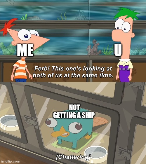 phineas and ferb | ME U NOT GETTING A SHIP | image tagged in phineas and ferb | made w/ Imgflip meme maker