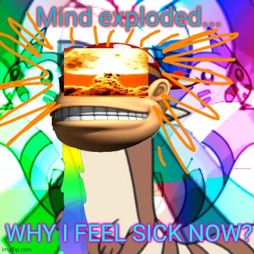 Me after one of i ain't a camel's parties... | Mind exploded... WHY I FEEL SICK NOW? | image tagged in furret on acid,donkey kong,pills,nukes,headshot | made w/ Imgflip meme maker