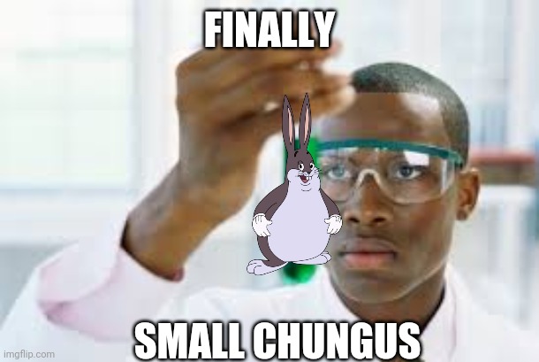 After years of research... | FINALLY; SMALL CHUNGUS | image tagged in finally,big chungus | made w/ Imgflip meme maker