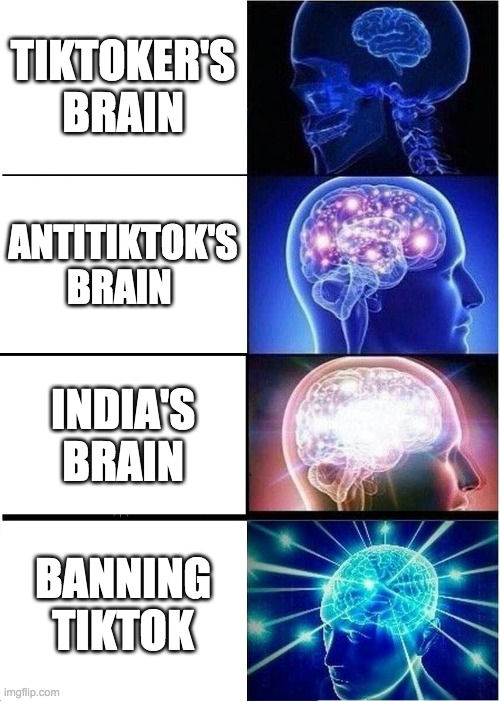 Expanding Brain Meme | TIKTOKER'S BRAIN; ANTITIKTOK'S BRAIN; INDIA'S BRAIN; BANNING TIKTOK | image tagged in memes,expanding brain | made w/ Imgflip meme maker