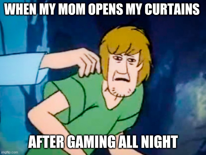 it is true | WHEN MY MOM OPENS MY CURTAINS; AFTER GAMING ALL NIGHT | image tagged in shaggy meme | made w/ Imgflip meme maker