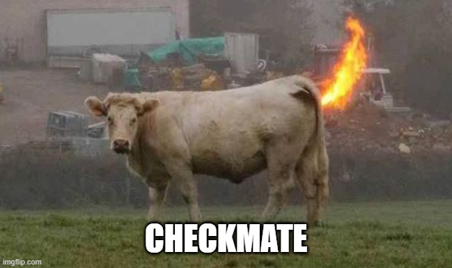 CHECKMATE | made w/ Imgflip meme maker