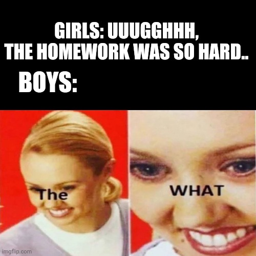 The best Boys Vs Girls meme ever | GIRLS: UUUGGHHH, THE HOMEWORK WAS SO HARD.. BOYS: | image tagged in the what,boys vs girls,girls vs boys | made w/ Imgflip meme maker