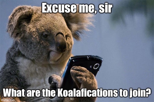 Just be against racism, sexism, homophobia, anti-semitism, and other bigotry. All other political debates are allowed here! | Excuse me, sir; What are the Koalafications to join? | image tagged in smartphone koala,bigotry,racism,anti-semite and a racist,antisemitism,sexism | made w/ Imgflip meme maker