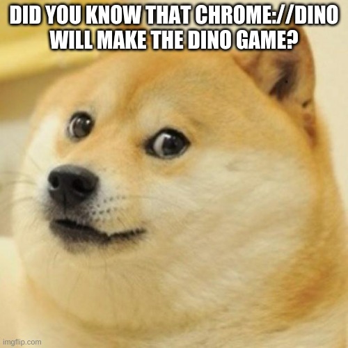 wow doge | DID YOU KNOW THAT CHROME://DINO WILL MAKE THE DINO GAME? | image tagged in wow doge | made w/ Imgflip meme maker