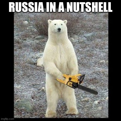 you mess with the bear you learn what its like to be truly scared | RUSSIA IN A NUTSHELL | image tagged in memes,chainsaw bear | made w/ Imgflip meme maker