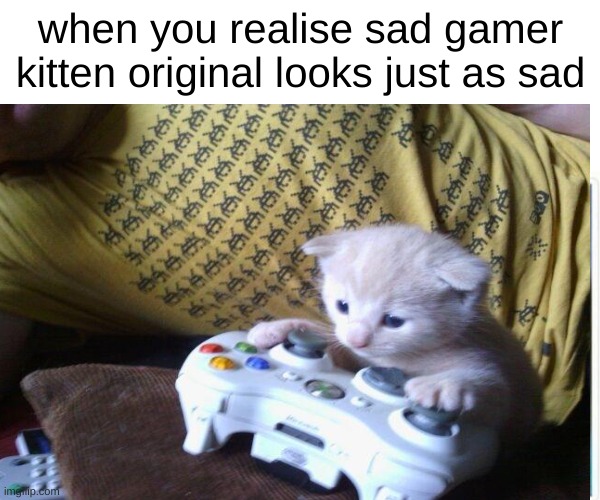 *Insert sad meow here* | when you realise sad gamer kitten original looks just as sad | image tagged in memes | made w/ Imgflip meme maker