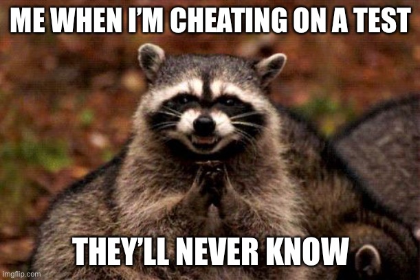 Me when I cheat on a test | ME WHEN I’M CHEATING ON A TEST; THEY’LL NEVER KNOW | image tagged in memes,evil plotting raccoon | made w/ Imgflip meme maker