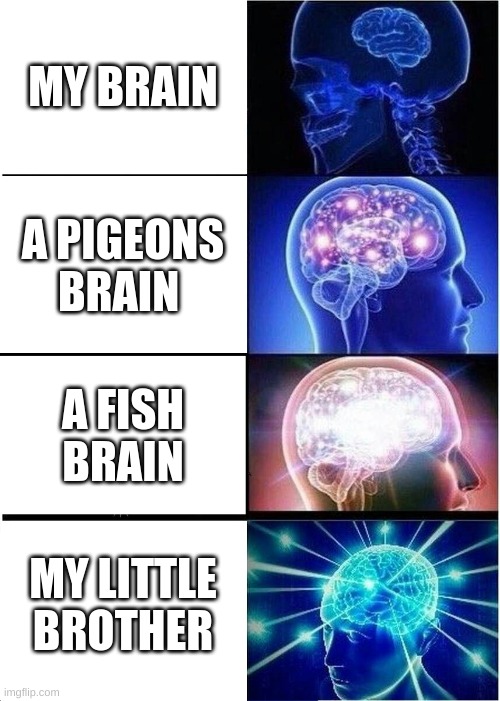 Expanding Brain | MY BRAIN; A PIGEONS BRAIN; A FISH BRAIN; MY LITTLE BROTHER | image tagged in memes,expanding brain | made w/ Imgflip meme maker