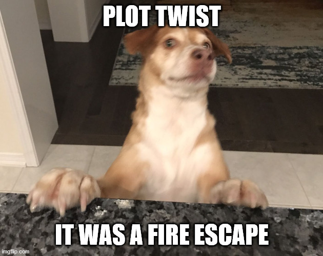 Plot twist | PLOT TWIST IT WAS A FIRE ESCAPE | image tagged in plot twist | made w/ Imgflip meme maker