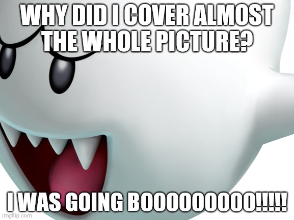 WHY DID I COVER ALMOST
THE WHOLE PICTURE? I WAS GOING BOOOOOOOOO!!!!! | image tagged in blank white template,jokes | made w/ Imgflip meme maker
