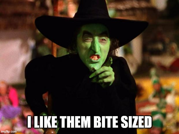 wicked witch  | I LIKE THEM BITE SIZED | image tagged in wicked witch | made w/ Imgflip meme maker