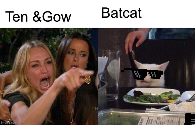 Woman Yelling At Cat Meme | Ten &Gow; Batcat | image tagged in memes,woman yelling at cat | made w/ Imgflip meme maker