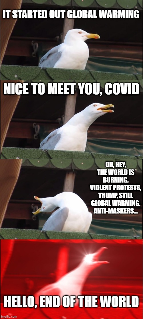 Inhaling Seagull Meme | IT STARTED OUT GLOBAL WARMING; NICE TO MEET YOU, COVID; OH, HEY, THE WORLD IS BURNING, VIOLENT PROTESTS, TRUMP, STILL GLOBAL WARMING, ANTI-MASKERS... HELLO, END OF THE WORLD | image tagged in memes,inhaling seagull | made w/ Imgflip meme maker