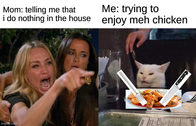 Woman Yelling At Cat | Mom: telling me that i do nothing in the house; Me: trying to enjoy meh chicken | image tagged in memes,woman yelling at cat | made w/ Imgflip meme maker