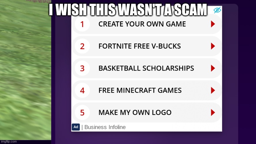 Why is this a scam? | I WISH THIS WASN'T A SCAM | image tagged in scam,internet scam | made w/ Imgflip meme maker