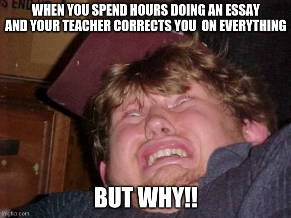 WTF Meme | WHEN YOU SPEND HOURS DOING AN ESSAY AND YOUR TEACHER CORRECTS YOU  ON EVERYTHING; BUT WHY!! | image tagged in memes,wtf | made w/ Imgflip meme maker