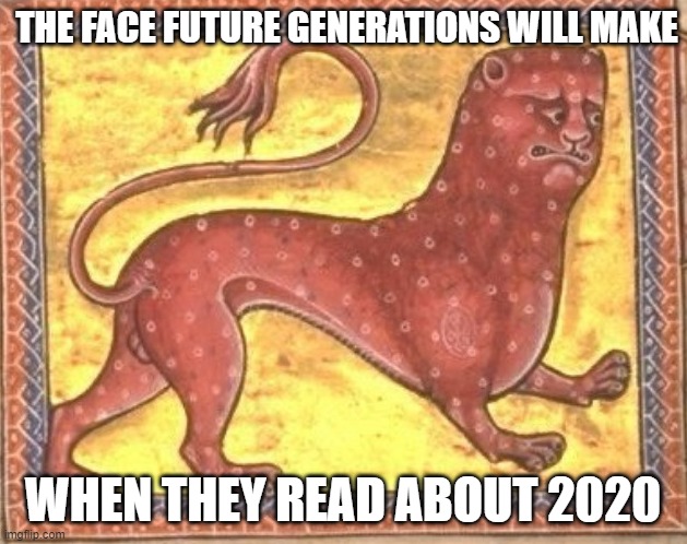 distressed leopard | THE FACE FUTURE GENERATIONS WILL MAKE; WHEN THEY READ ABOUT 2020 | image tagged in distressed leopard,2020 | made w/ Imgflip meme maker