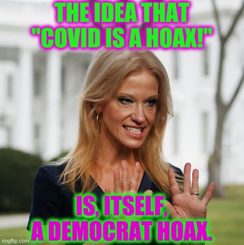 more hoax, more jokes | THE IDEA THAT "COVID IS A HOAX!"; IS, ITSELF, A DEMOCRAT HOAX. | image tagged in kellyanne conway,trump hoax covid,covid-19,democrat hoax | made w/ Imgflip meme maker