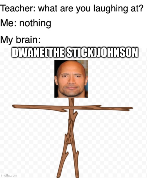 Dwane(The Stick)Johnson | DWANE(THE STICK)JOHNSON | image tagged in teacher what are you laughing at | made w/ Imgflip meme maker