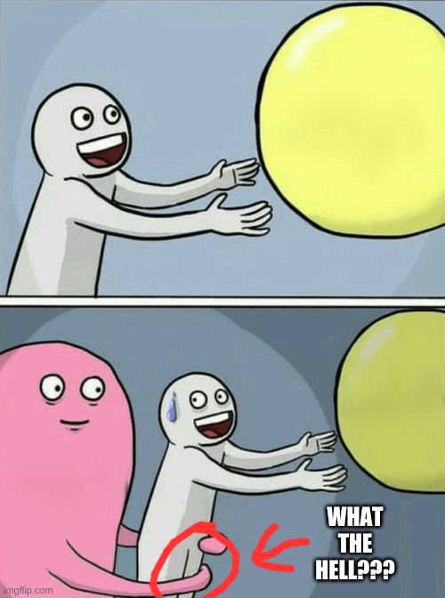 wth |  WHAT THE HELL??? | image tagged in memes,running away balloon | made w/ Imgflip meme maker