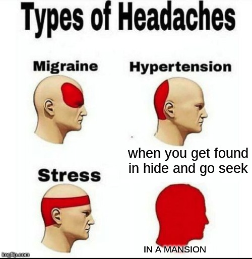 yall are dum | when you get found in hide and go seek; IN A MANSION | image tagged in types of headaches meme | made w/ Imgflip meme maker