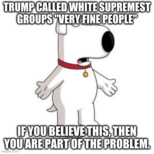 repost | TRUMP CALLED WHITE SUPREMEST GROUPS "VERY FINE PEOPLE"; IF YOU BELIEVE THIS, THEN YOU ARE PART OF THE PROBLEM. | image tagged in memes,family guy brian | made w/ Imgflip meme maker