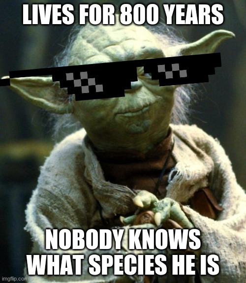 comment what species you think yoda is. | LIVES FOR 800 YEARS; NOBODY KNOWS WHAT SPECIES HE IS | image tagged in memes,star wars yoda | made w/ Imgflip meme maker